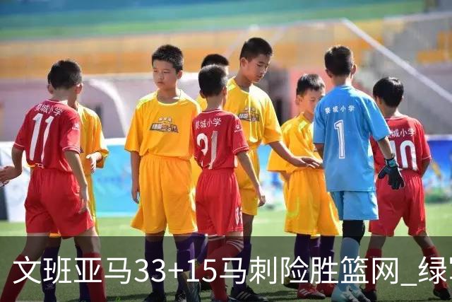 文班亚马33+15马刺险胜篮网 绿军屠奇才5连胜